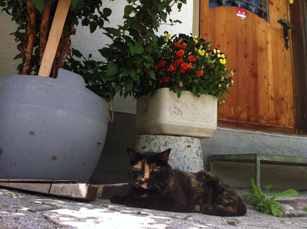 Bnb Guesthouse Lusi Frauenkirch Εξωτερικό φωτογραφία
