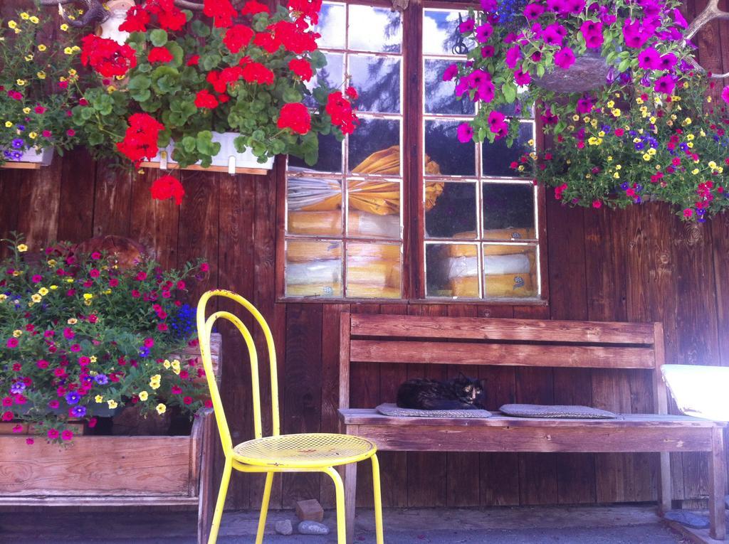 Bnb Guesthouse Lusi Frauenkirch Εξωτερικό φωτογραφία
